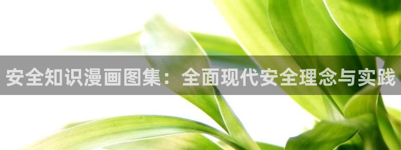 歪歪漫画登陆入口：安全知识漫画图集：全面现代安全理念与实践