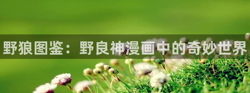 歪歪漫画登录页面免费漫画