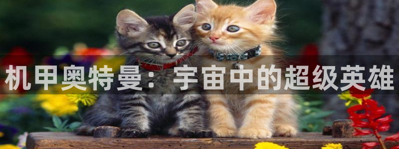 歪歪漫画网站sss