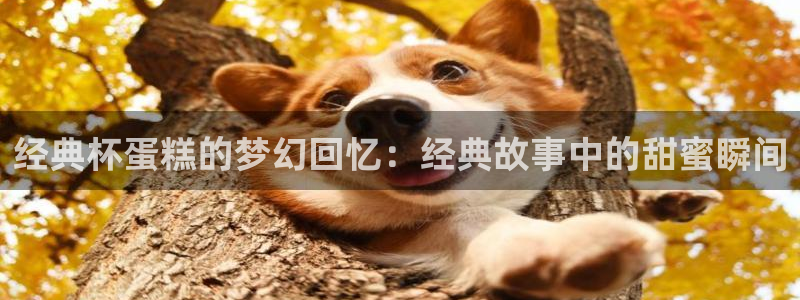 秘歪歪漫画