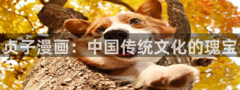 歪歪漫画漫画首页免费：贞子漫画：中国传统文化的瑰宝