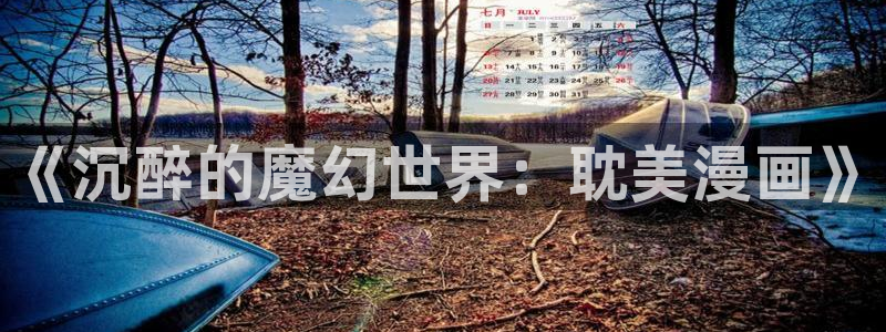 韩国歪歪漫画大全：《沉醉的魔幻世界：耽美漫画》