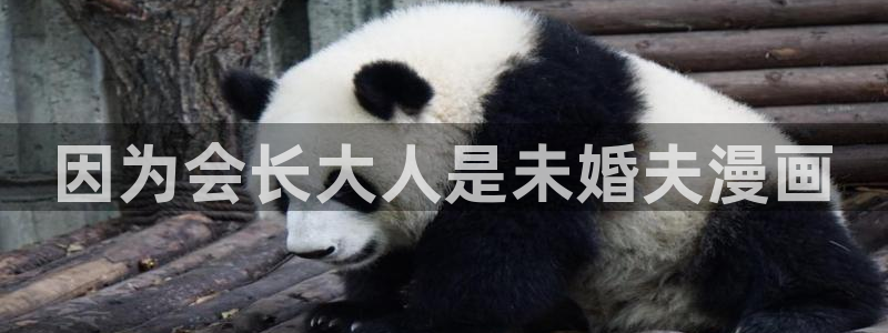 yy歪歪漫画网