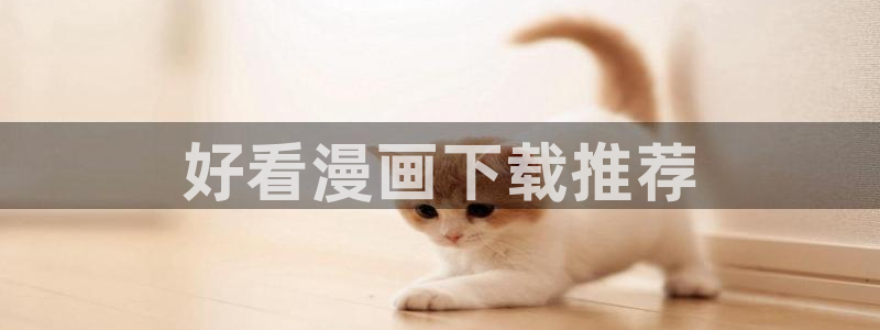 《歪歪漫画》
