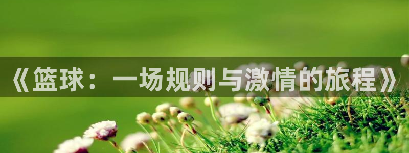 歪歪漫画无删减在线观看：《篮球：一场规则与激情的旅程》