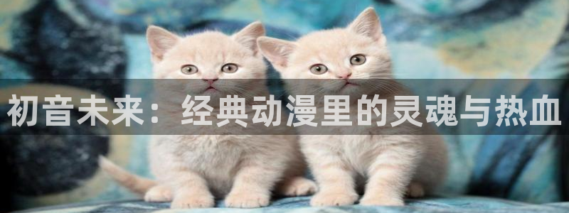 歪歪漫画源码