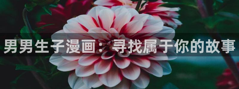 歪歪漫画韩漫免费版读