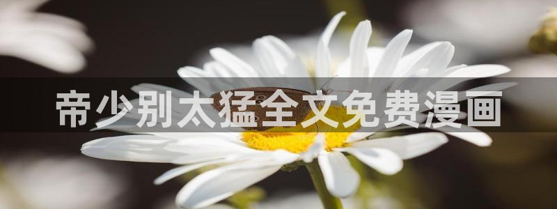 歪歪漫画在线看网站入口