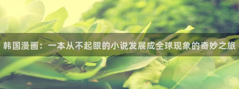 tt28co桃桃漫画歪歪漫画